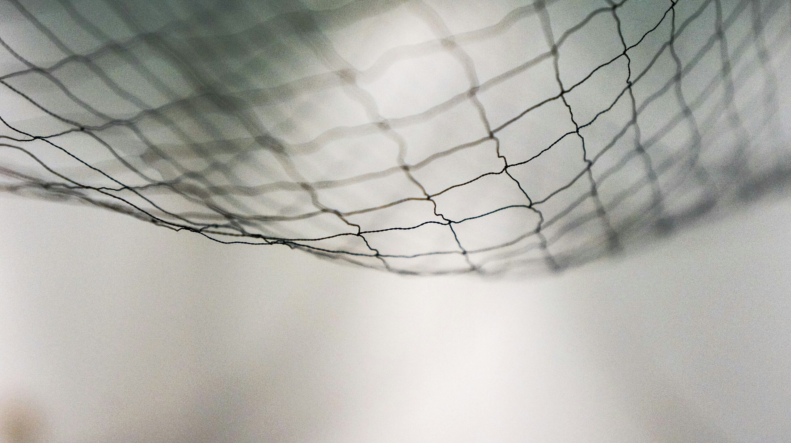 A photo of a net